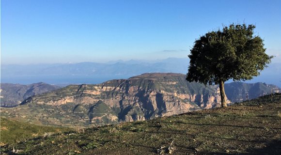 Κεντρικη_-_Τοποθεσια_Συρραχο_new_vineyards__1_