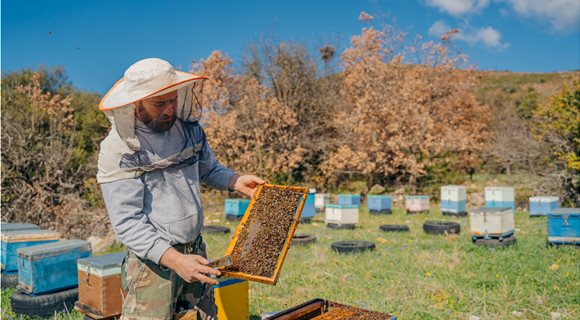 Μελισσουργος-Γιωργος-10-2048x1365