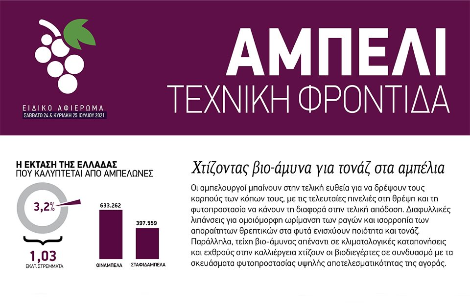 Τεχνική φροντίδα στο αμπέλι με βιο-άμυνα που δίνει τονάζ και ομοιομορφία στη ράγα - Vimarsana News