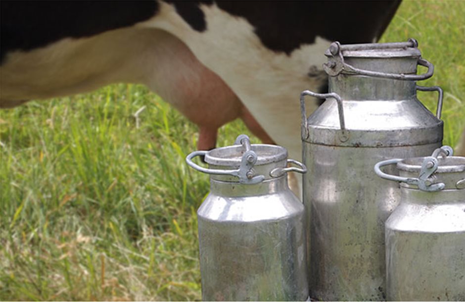 Τα χαλαρά ισοζύγια του ΕΛΓΟ βούλιαξαν τις τιμές στο γάλα