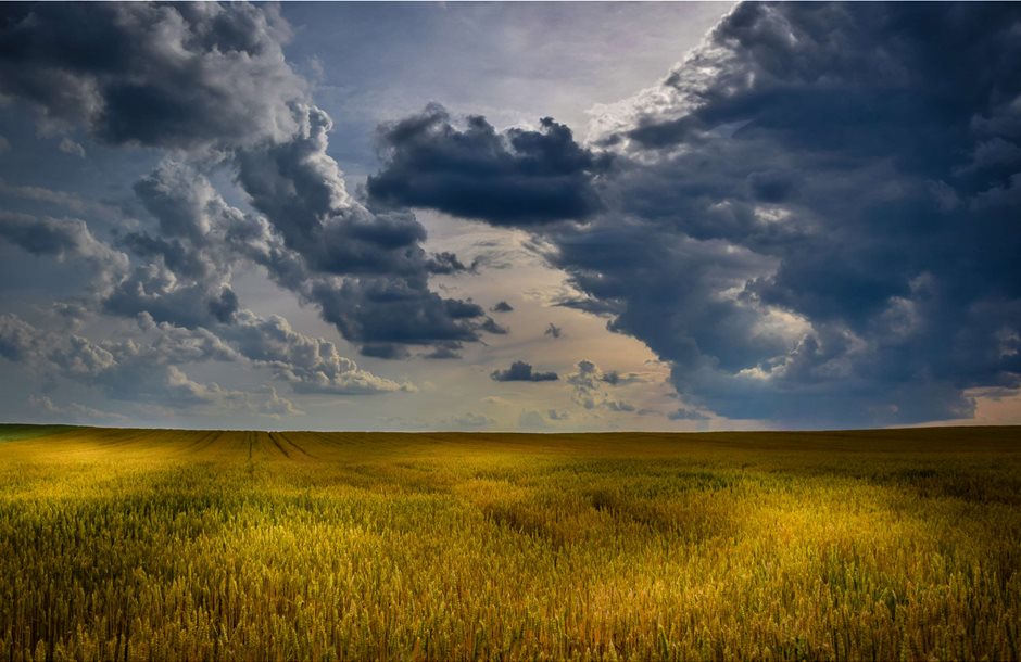 3072793-agriculture_cloudscape_cloudy-skies_countryside_crop_cropland_farm_farming_field_harvest_landscape_light-and-shadow_nature_outdoors_pasture_plains_rural_sky_sunlight_sunset_wheat_yellow