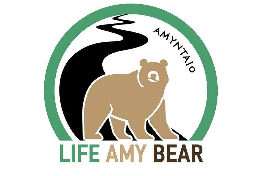 7636876c-life-amybear-logo_2