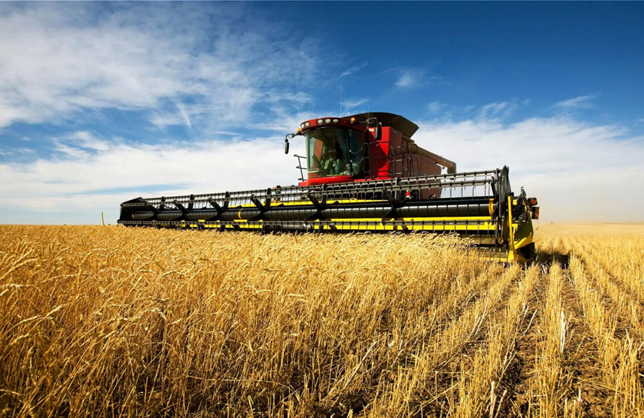 Harvesting_sof_wheat