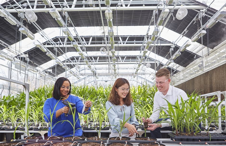 Researchers_examining_plants_in_a_greenhouse_6