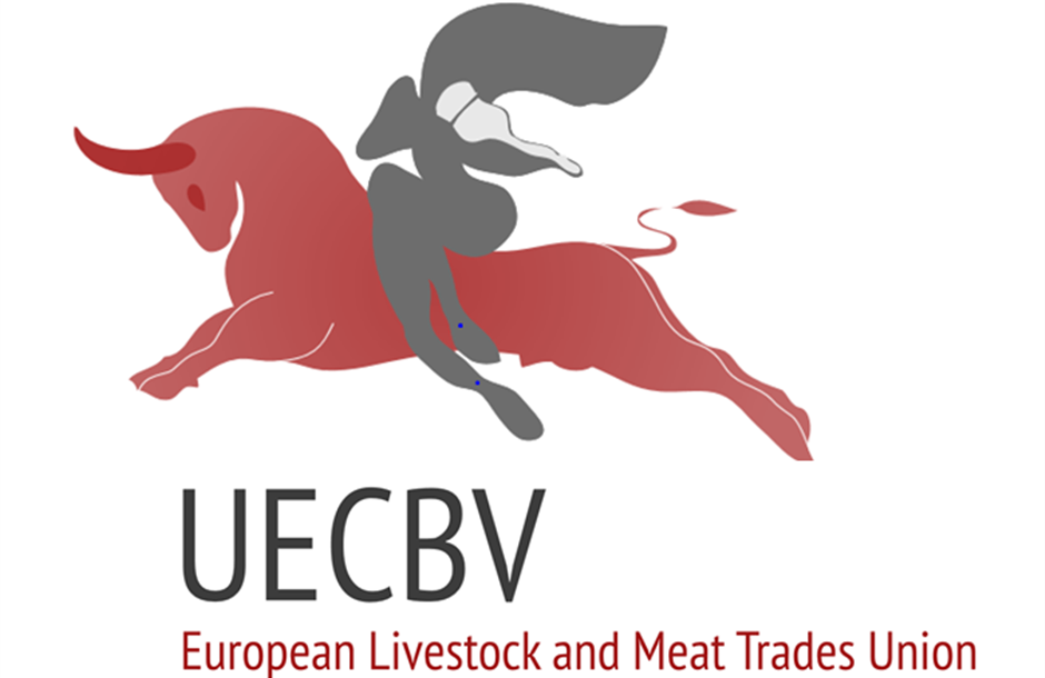 UECBV-Logo-35226