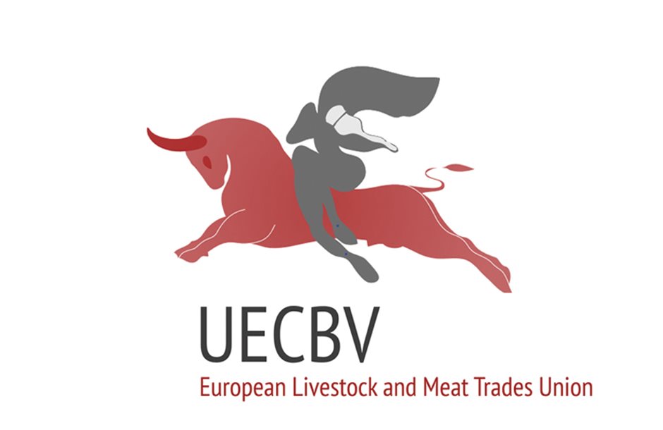 UECBV-Logo-new