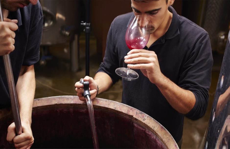 Wine-Making