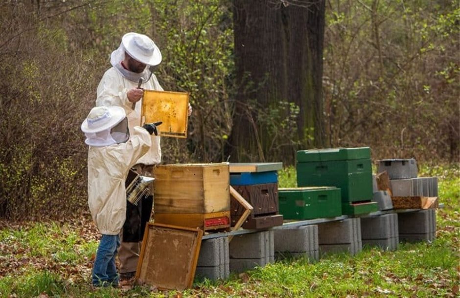 beekeepe