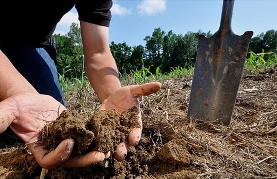 hands-with-soil-to-improve-soil-ecosystem-function__1__2
