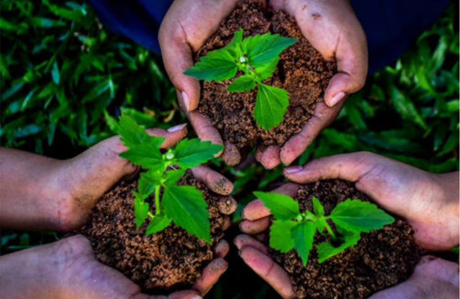 people-hands-cupping-plant-nurture-environmental-scaled-e1664447204740-500x383