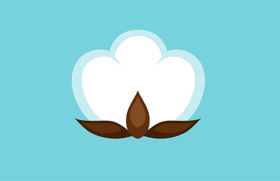 cotton_3