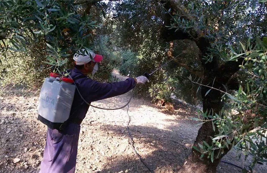 dakoktonia_apo_maio_2