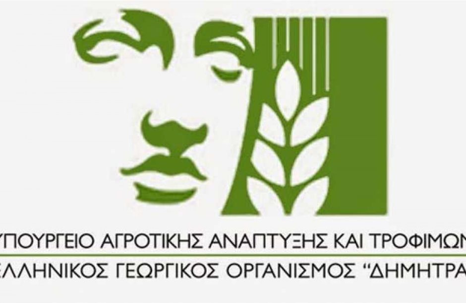 elgo_dimitra_2