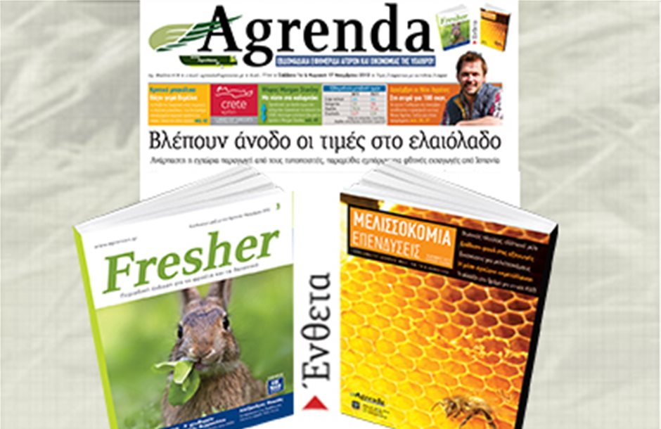 Μελισσοκομία και Fresher μαζί με την Agrenda 