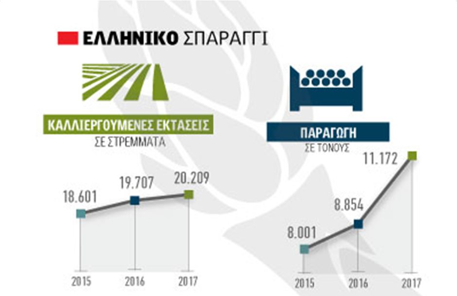 Με την έναρξη στα 8 ευρώ το ελληνικό σπαράγγι
