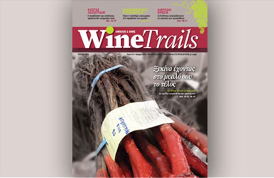 Τα βήματα για την εγκατάσταση αμπελώνα στο Wine Trails