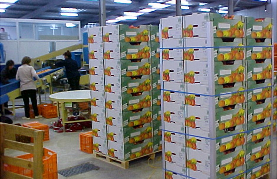 agrotika-proionta