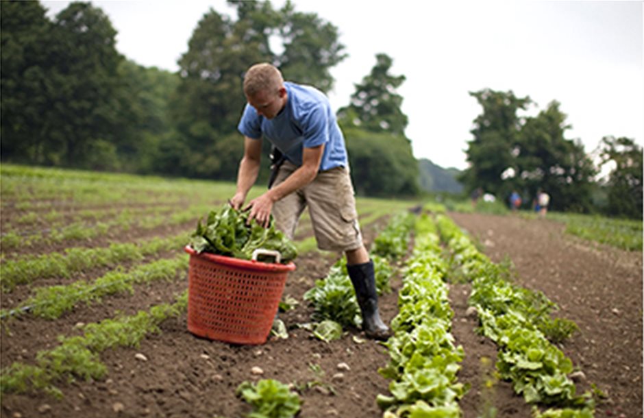 Δίχως γεωργική εκπαίδευση το 71% των αρχηγών αγροτικών εκμεταλλεύσεων