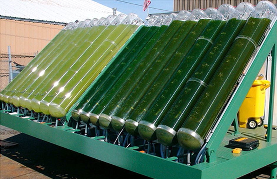 Στα 6,67 ευρώ η τιμή διάθεσης των νέων μετοχών της Algae Farms στο Χ.Α.