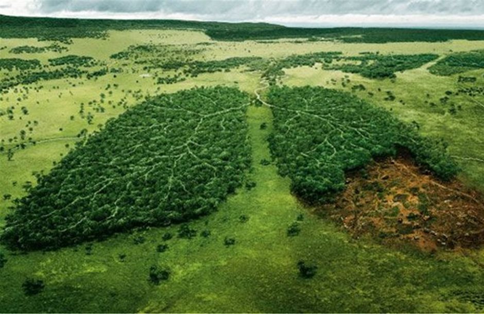 Μη αναστρέψιμη η κατάσταση του δάσους του Αμαζονίου