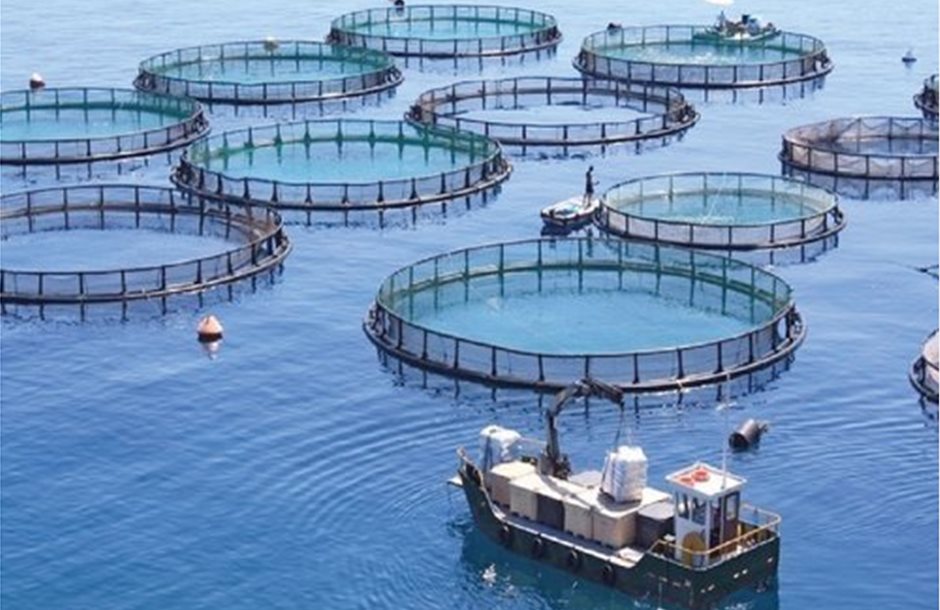 aquaculture-net-500x500