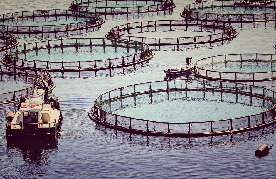 aquaculturele