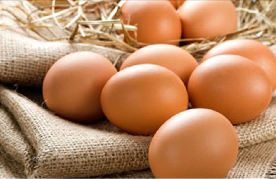  Κατάσχεση αυγών απο τον Ε.Φ.Ε.Τ.