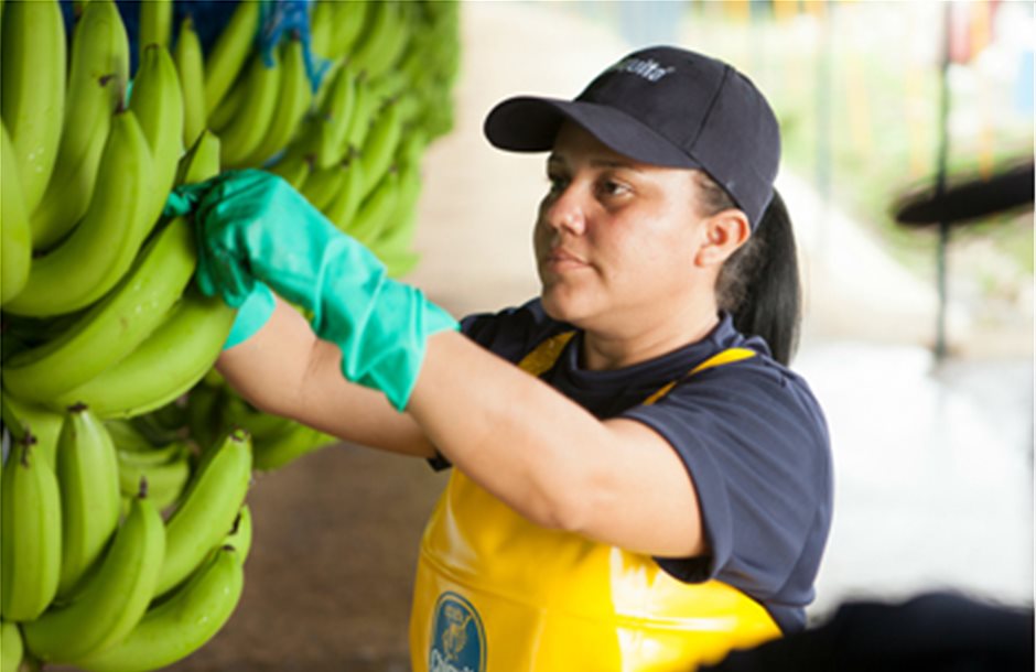 Καμία μπανάνα χαμένη, η δέσμευση βιωσιμότητας της Chiquita