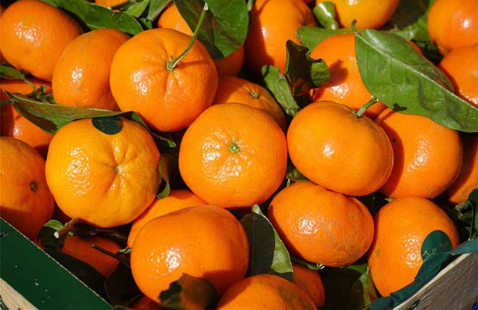 clementines-318210_960_720-1024x682