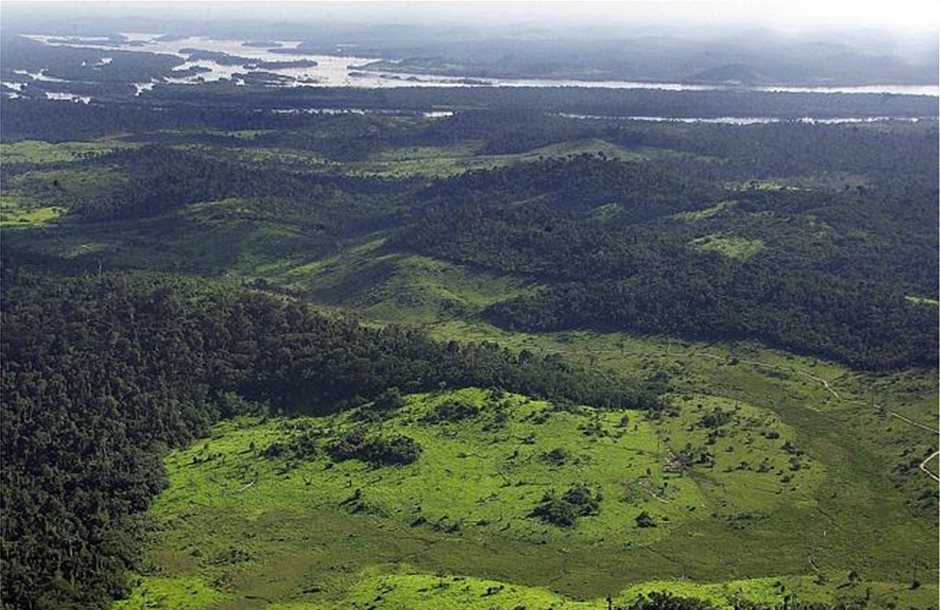 Βαριές ποινές αντιμετωπίζει ο κυριότερος υπεύθυνος αποψίλωσης του Αμαζονίου 