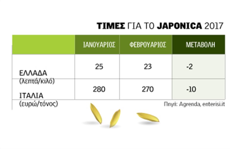 Μπούμερανγκ η μαζική στροφή στο ρύζι Japonica