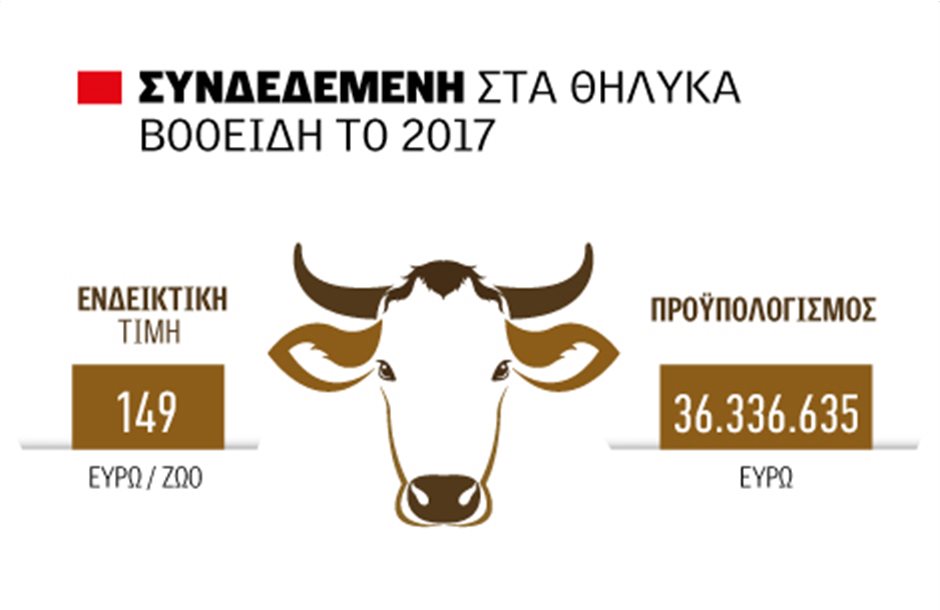 Συνδεδεμένη 149 ευρώ το ζώο το 2017 σε θηλυκά βοοειδή 