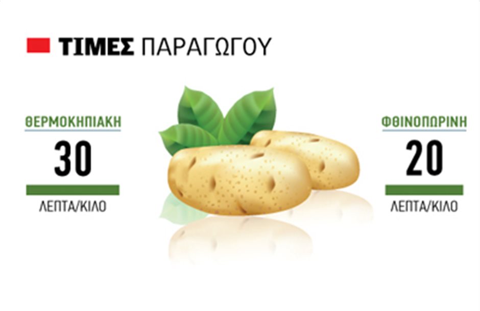 Χαµηλό «ντεµπούτο» στη θερµοκηπιακή πατάτα