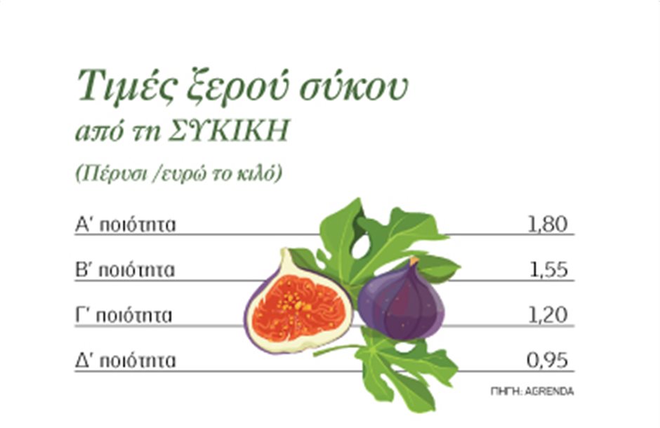 Πάει για τιμή από νωρίς το σύκο σε Μεσσηνία και Εύβοια