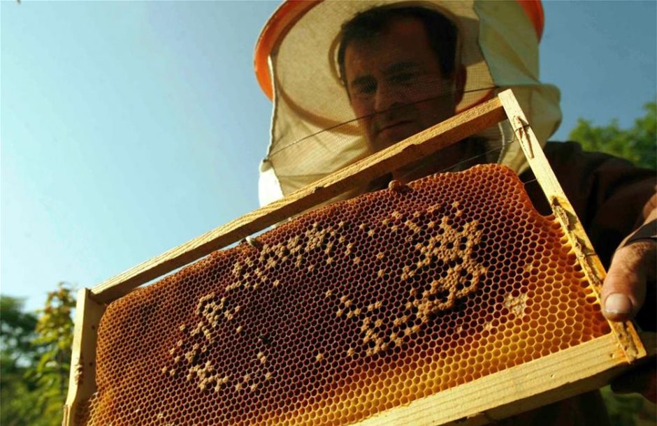 Κάλυψη εξόδων σε εμπορικές εκθέσεις μελισσοκόμων