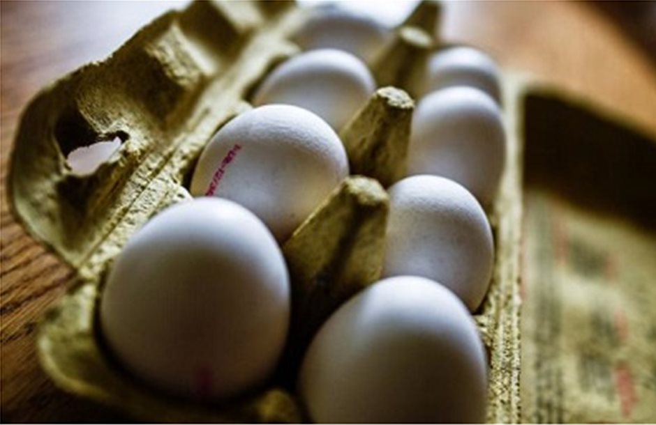 Νέο πλήγμα για πτηνοτρόφους το σκάνδαλο αυγών στην ΕΕ