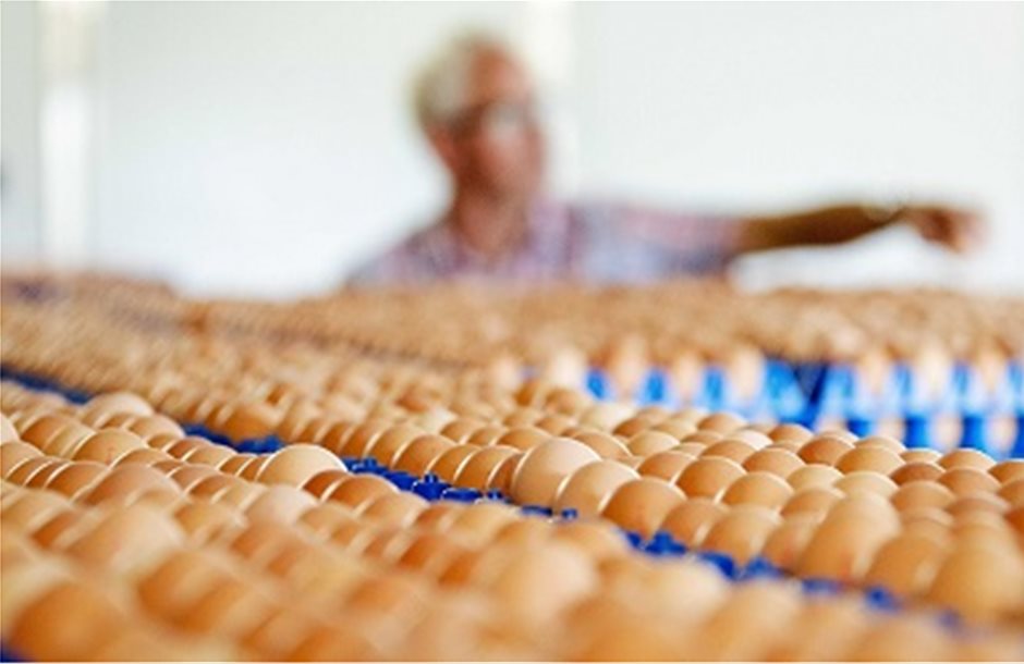Εξαπλώνεται το σκάνδαλο αυγών σε Γαλλία και Βρετανία 