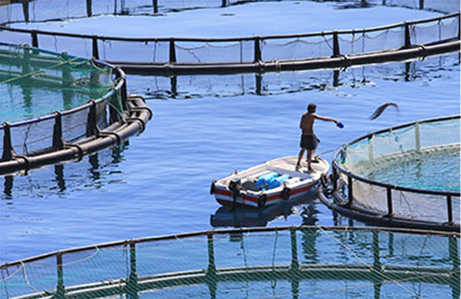 Παράταση έως 31 Αυγούστου για επενδύσεις Αλιείας του 2012