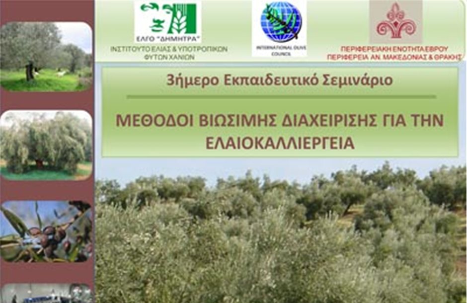 Σεμινάριο στην Αλεξανδρούπολη για τη βιώσιμη ελαιοκαλλιέργεια
