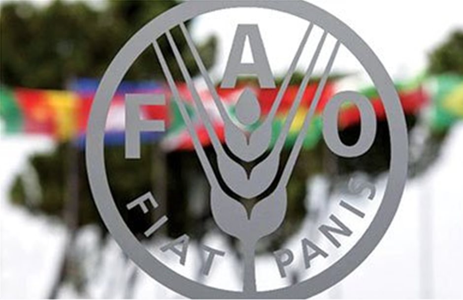 Μείωση 2% στις τιμές των τροφίμων βλέπει ο FAO