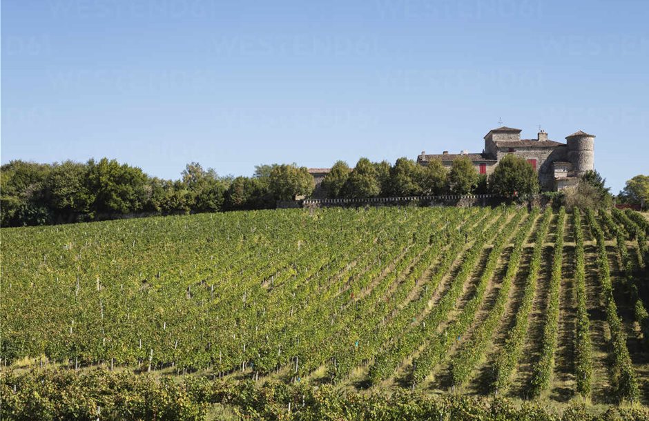 france-nouvelle-aquitaine-department-gironde-bordeaux-wine-region-vineyards-and-chateau-lacaussade-GWF06346
