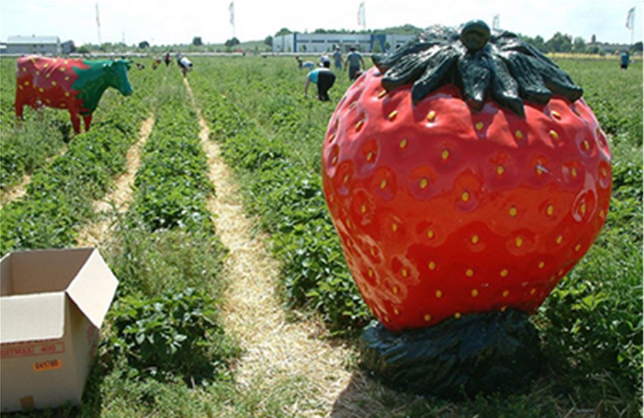 Κορυφώνονται ενόψει Πάσχα οι τιμές στη φράουλα 