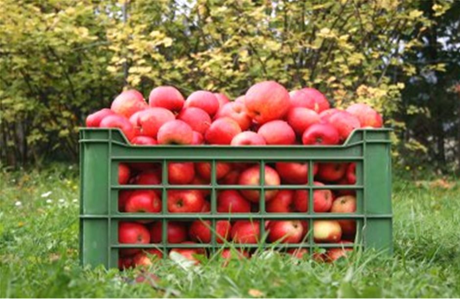 Ρωσία: Εξετάζει μπλόκο στις εισαγωγές φρούτων από ΕΕ