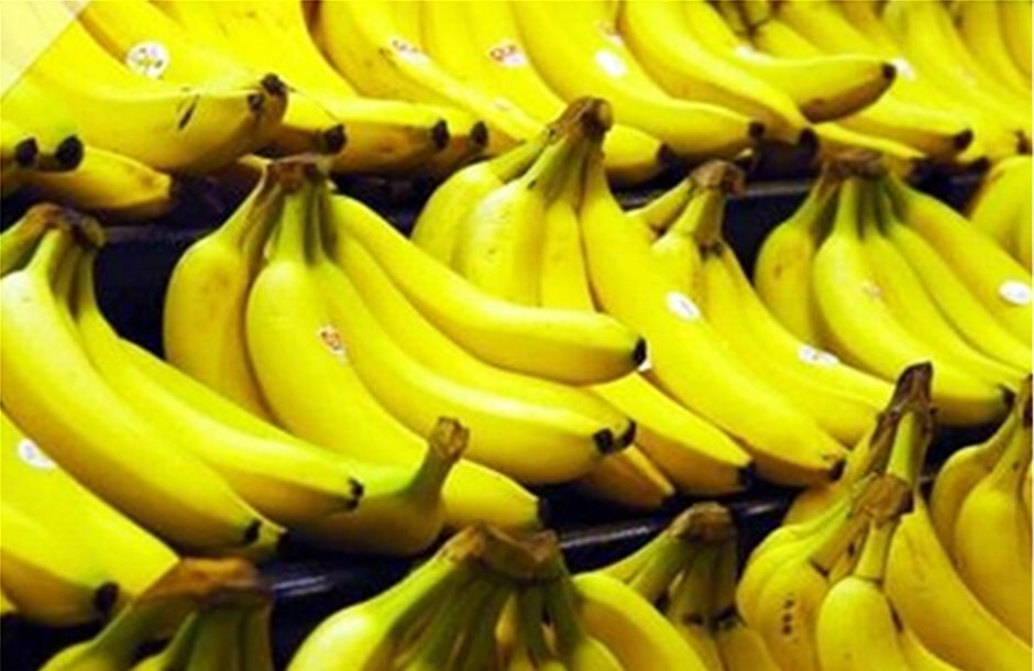 «Μπλόκο» σε φορτίο με 21 τόνους μπανάνας 