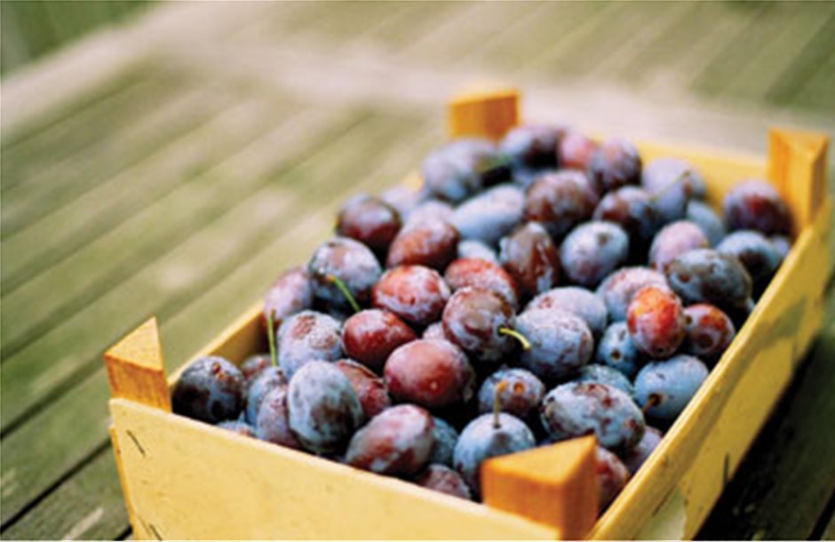 Ρεκόρ για τις χιλιανές εξαγωγές φρούτων σε ΗΠΑ και Κίνα