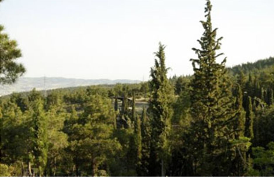 Προτάσεις για την προστασία του δάσους «Σέϊχ-Σου»