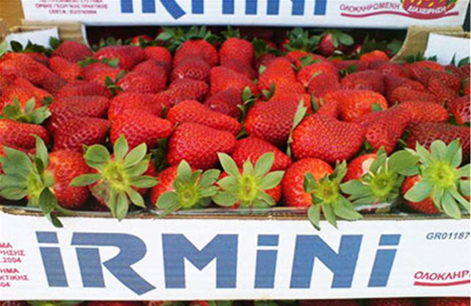Χωρίς τις φράουλες το νέο πακέτο 165 εκατ. ευρώ για τα οπωροκηπευτικά 