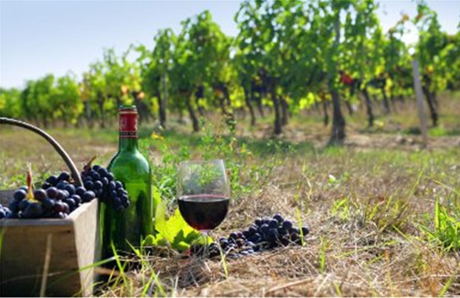 Μόλις 13 τόνοι ελληνικού κρασιού στη Βραζιλία το 2013