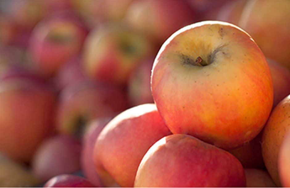 (ΝΕ) Πιεσμένα τα μήλα σε παγκόσμιο επίπεδο 