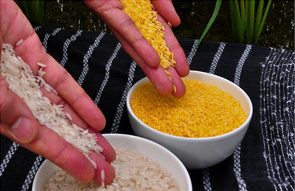 Σύμφωνοι με το «χρυσό ρύζι» 110 Νομπελίστες 